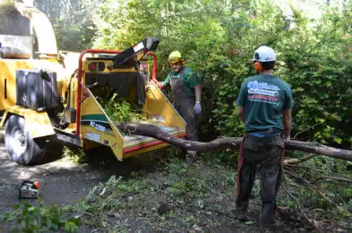 tree services Cherry Hills Village